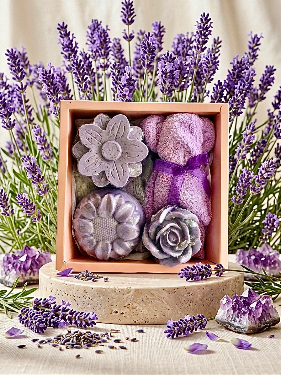 Lavanda