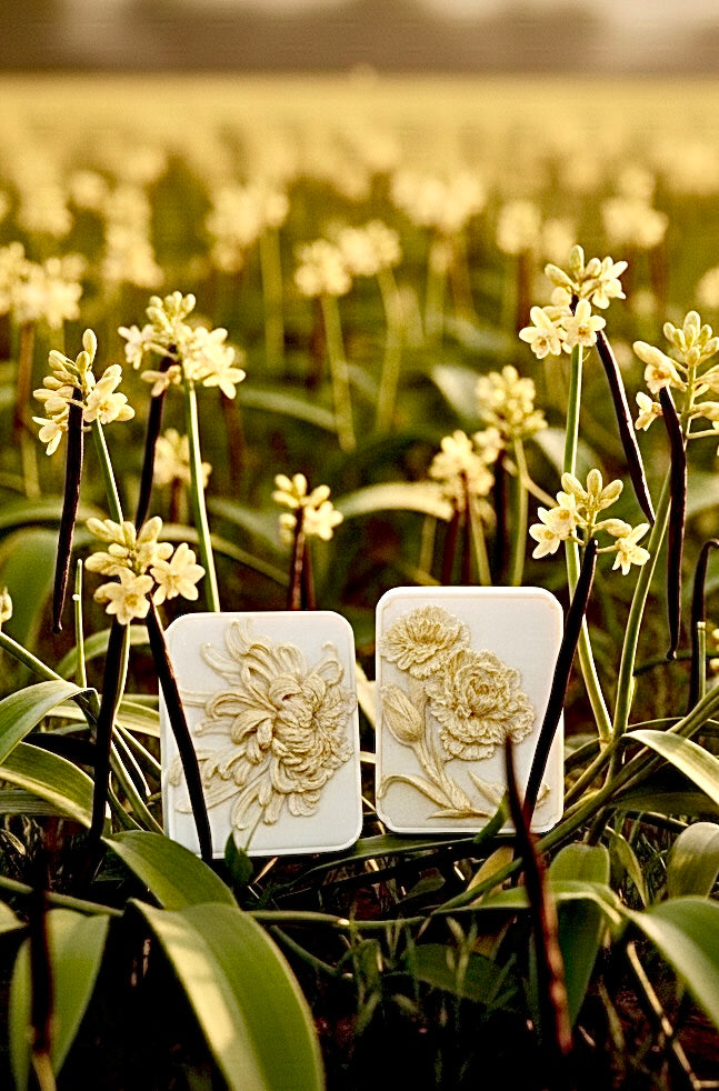 Rose &amp; Vanilla &amp; Turmeric &amp; Coffee